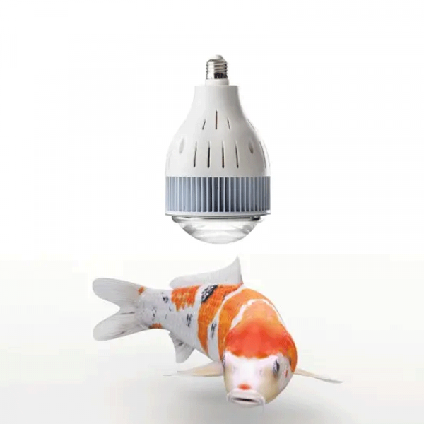 flexBEAM Koi Edition LED-Strahler - 40W und 75W